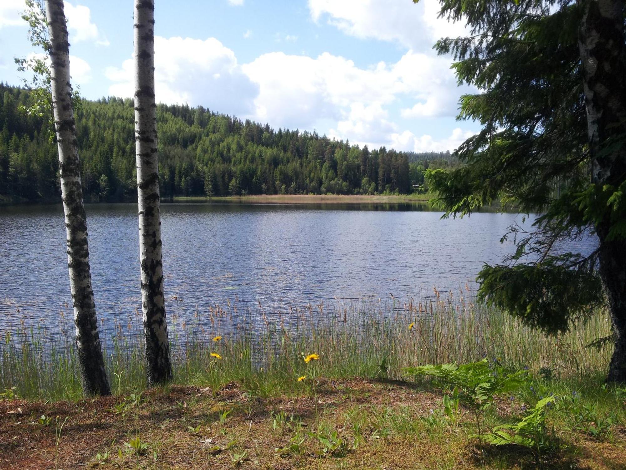 Kilsborgs Gård - Lake House Svanskog Eksteriør billede